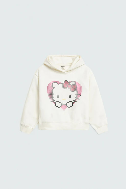 Character Embroidered Hoodie